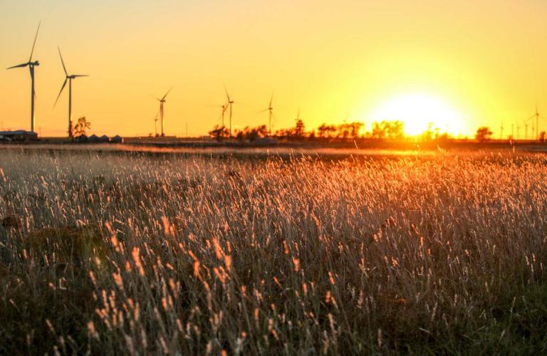 Wind Development